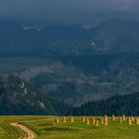 Rzepicha Guest house Zakopane