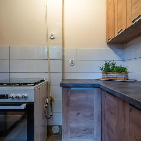 Rzepicha Guest house *