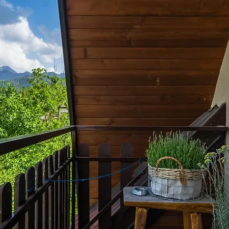 Rzepicha Guest house *