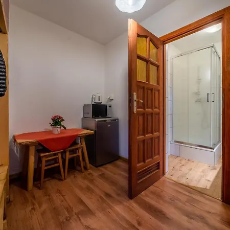Rzepicha Guest house *