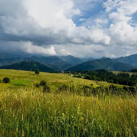 Rzepicha Guest house