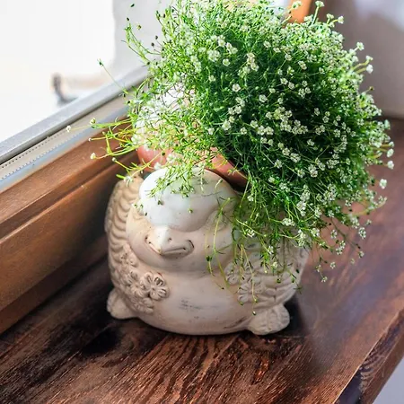 Rzepicha ゲストハウス