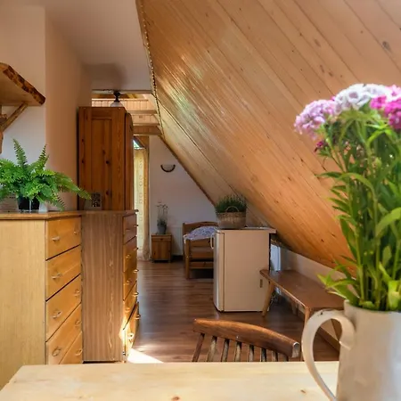 Rzepicha Guest house 3*