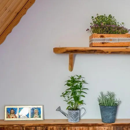 Guest house Rzepicha 3*