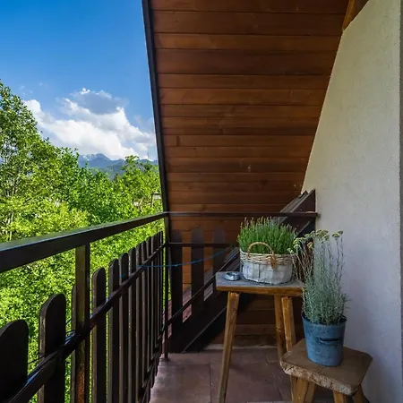 Guest house Rzepicha