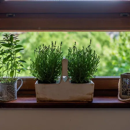 Rzepicha Guest house Zakopane