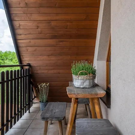 Guest house Rzepicha 3*