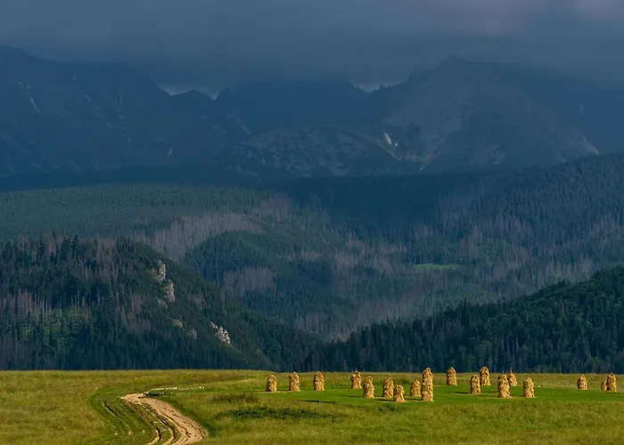 Rzepicha Gasthuis Zakopane