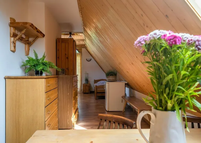 Rzepicha Gasthuis 3*