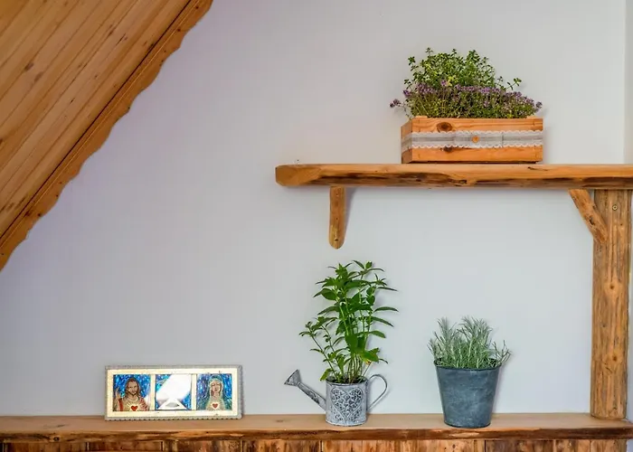 Gasthuis Rzepicha 3*