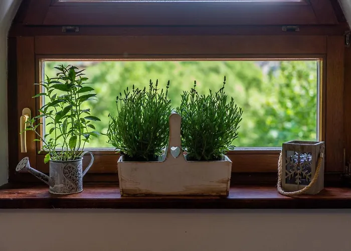 Rzepicha Gasthuis Zakopane